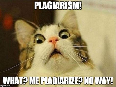 plagiarism Memes & GIFs - Imgflip