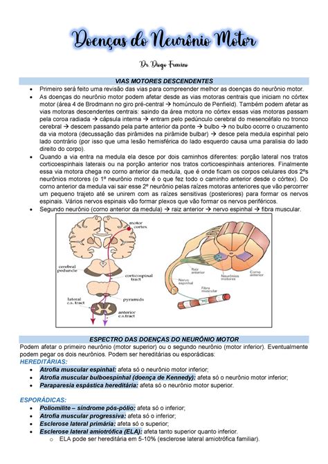 Doenças do Neurônio Motor - Diogo Fraxino VIAS MOTORES DESCENDENTES Primeiro será feito uma ...