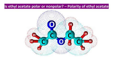 Is Ethyl Acetate Polar or Nonpolar? – (Polarity of Ethyl Acetate) in 2023 | Ethyl acetate ...