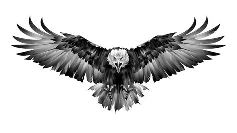 Premium Photo | Hand drawn graphics bird eagle front view on white background