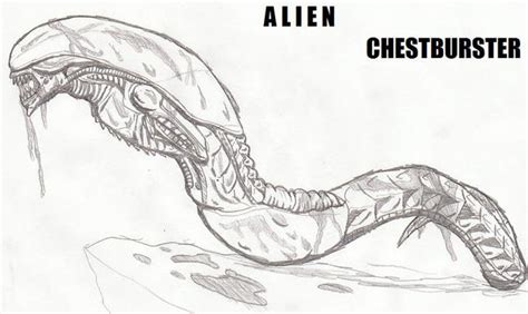 Alien Chestburster by TITANOSAUR on DeviantArt