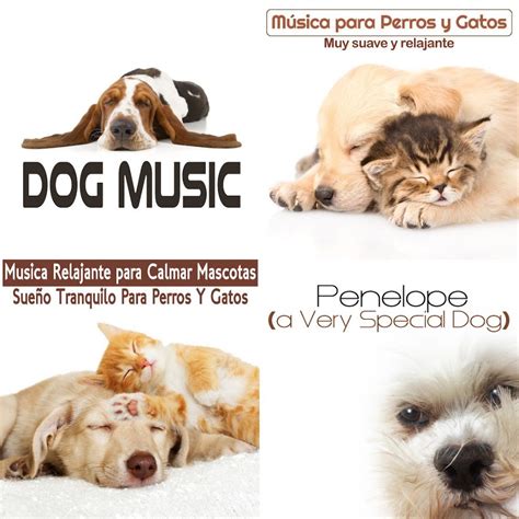 15 HOURS OF RELAXING DOG MUSIC - Reduce Anxiety and Help Dogs Sleep ...