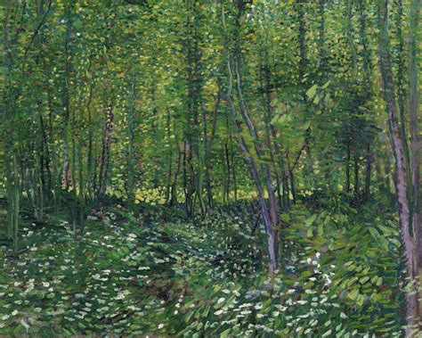 Woods and Undergrowth - Vincent van Gogh as art print or hand painted oil.