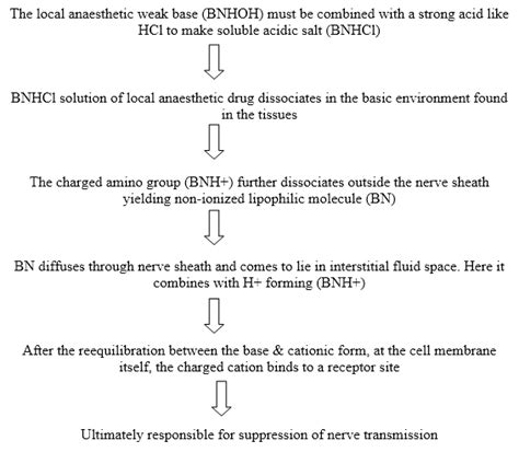 Mechanism Of Action Of Local Anesthesia Ppt - IMAGESEE