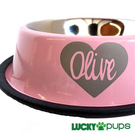 personalized pet bowl | Dog bowls, Personalized dog bowls, Personalized ...