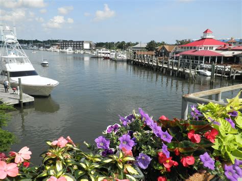 Lewes Delaware - Discover the Charm of Delaware Beaches