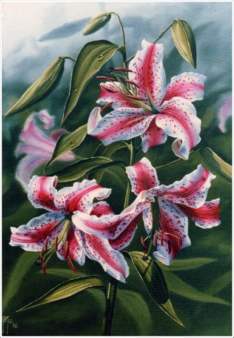 STARGAZER LILY - oil painting by Judy Sleight