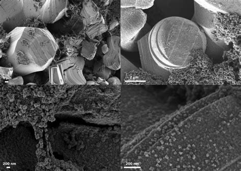 Scanning Electron Microscopy of Lithium-ion Battery Components - Microscopy