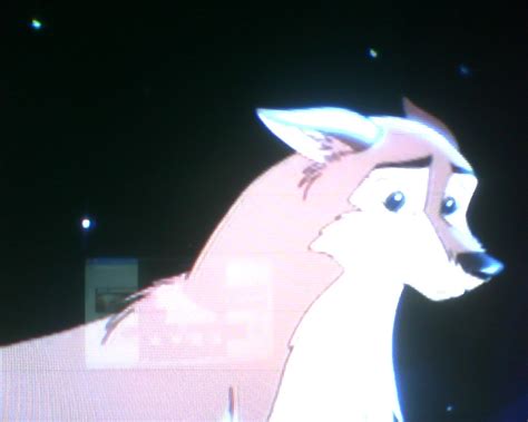 Balto 2 - random balto characters Wallpaper (11080933) - Fanpop