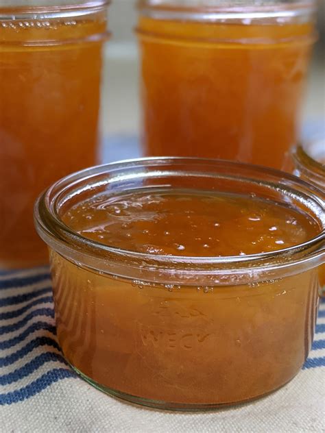 Homemade Marmalade - VeggieBytes