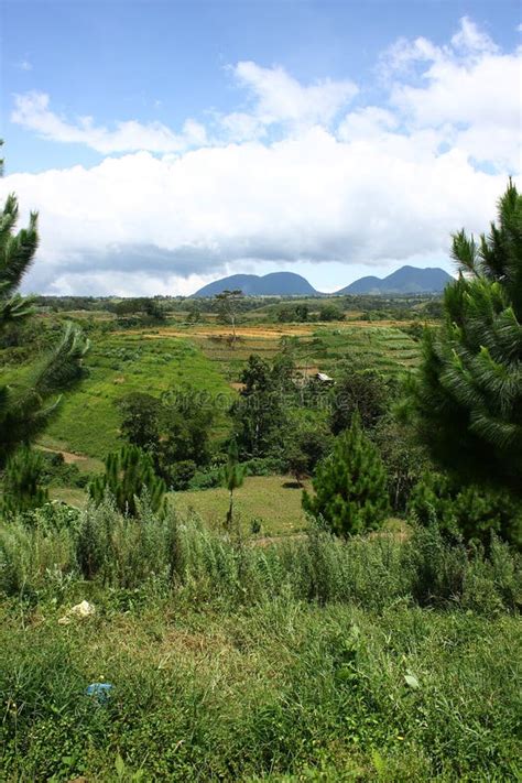 Mount Kitanglad stock photo. Image of bukidnon, climbing - 18813450