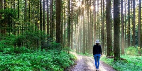 10 Reasons Why Walking in Nature Will Make You Happier • Calmpreneur®