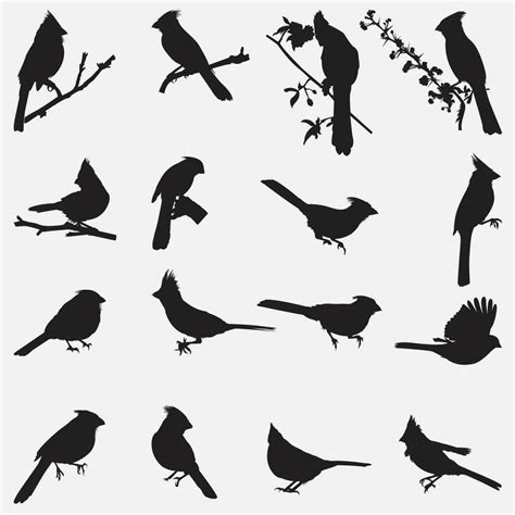 cardinal bird silhouette 36137433 Vector Art at Vecteezy