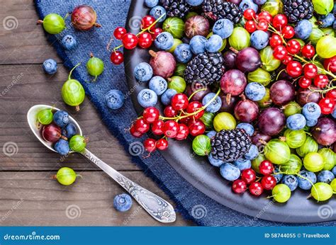 Different berries plate. stock image. Image of collection - 58744055