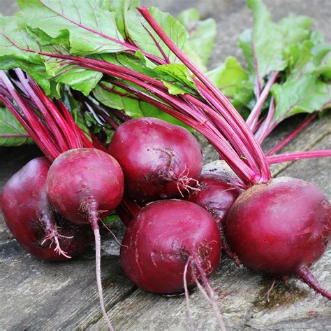 Organic Detroit Dark Red Beet Seeds – Sweet Yards