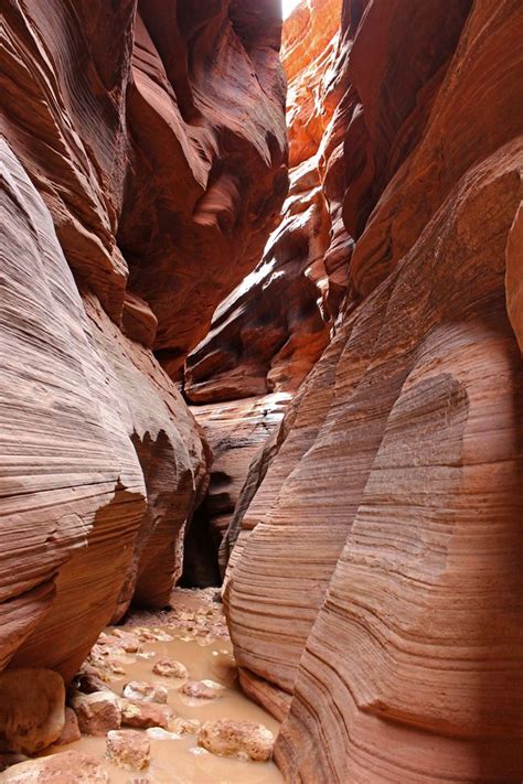 Residual Puddles, Stepping Stones, Buckskin Gulch, Slot Canyon ...