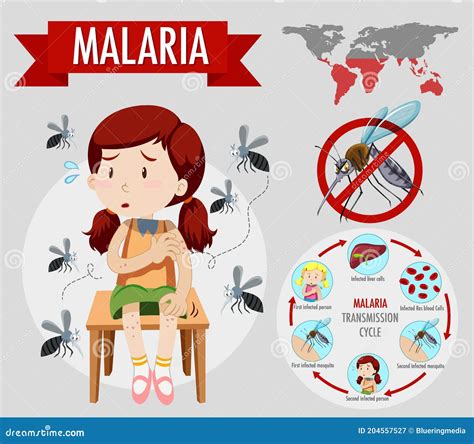 Malaria Symptom Information Infographic Cartoon Vector | CartoonDealer.com #204555869