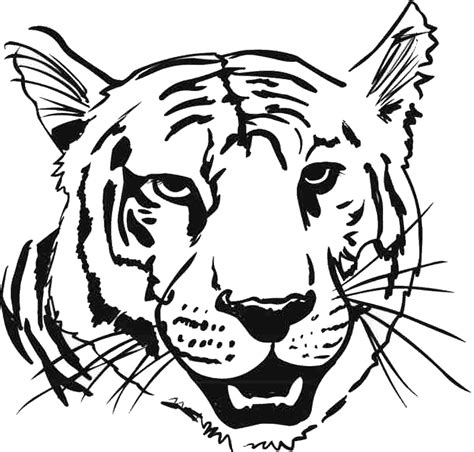 Bengal Tiger Coloring Page at GetColorings.com | Free printable ...