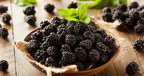 How to Identify Common Wild Berries - Farmers' Almanac