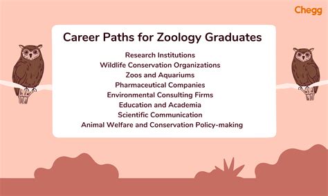 Exciting BSc Zoology: Best Career Options & Salary In 2025