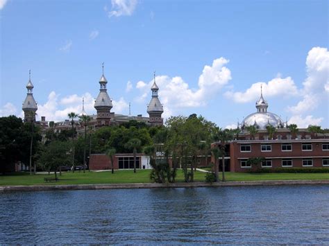 Top 10 Library Resources You Need to Know at the University of Tampa - OneClass Blog