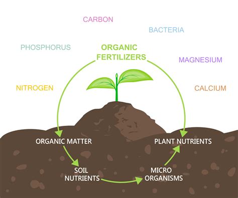 Fertilizer Process Flow Diagram