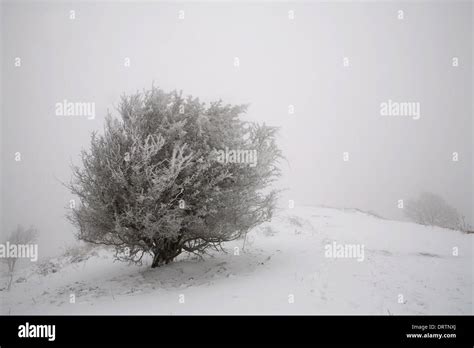 Piled up snow hi-res stock photography and images - Alamy