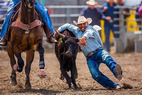 steer wrestling | Christopher Martin Photography