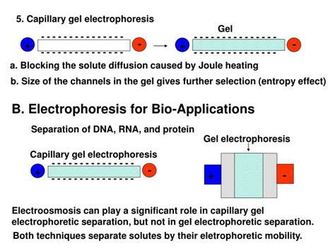 PPT - A. Modes of separation capillary electrophoresis PowerPoint Presentation - ID:3038561