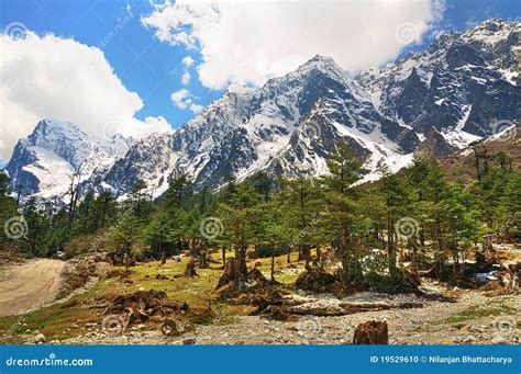 The Himalayas in Sikkim stock photo. Image of peak, beauty - 19529610