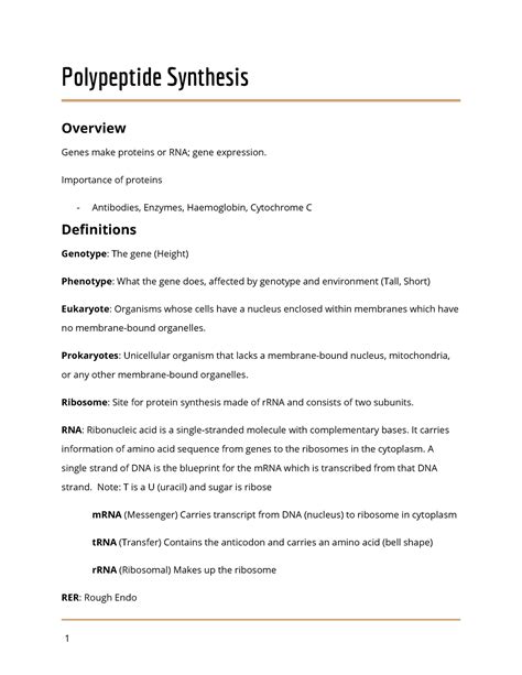 Biology Summaries of polypeptide synthesis - Polypeptide Synthesis ...