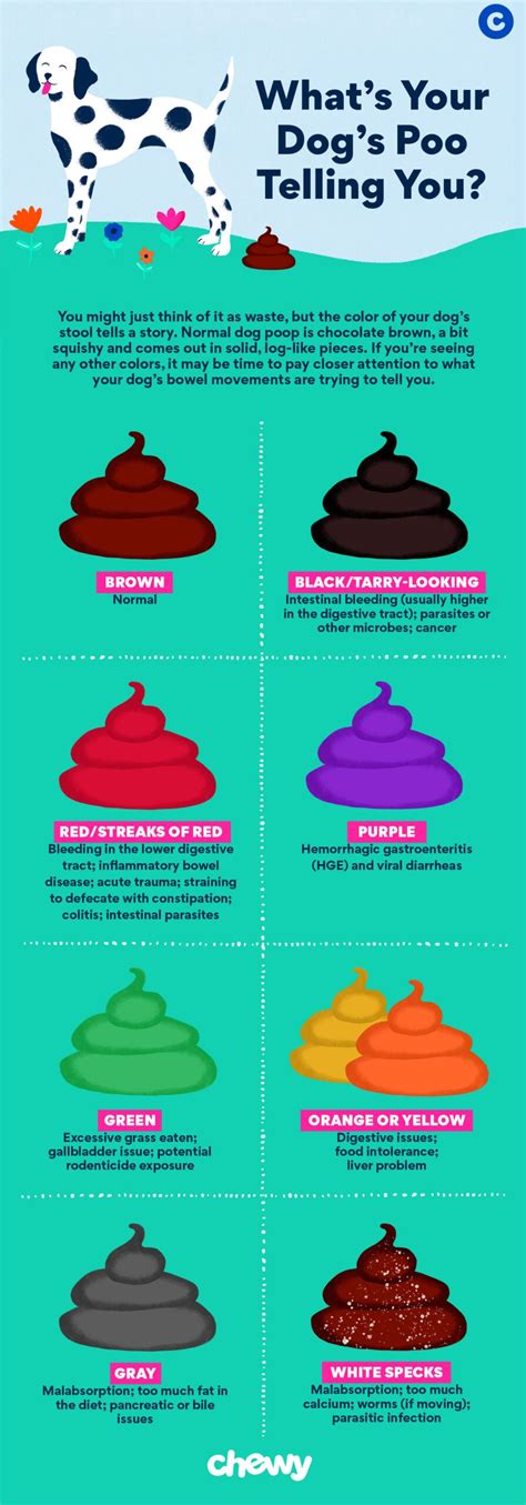 Dog Poop Color Chart: Is Your Dog's Poop Healthy? | BeChewy