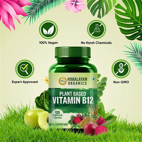 Himalayan Organics Plant Based Vitamin B12, 120 Capsules Price, Uses ...