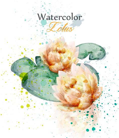 Premium Vector | Watercolor lotus flower