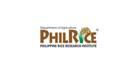 PhilRice gives farmers certified palay seeds - Punto! Central Luzon