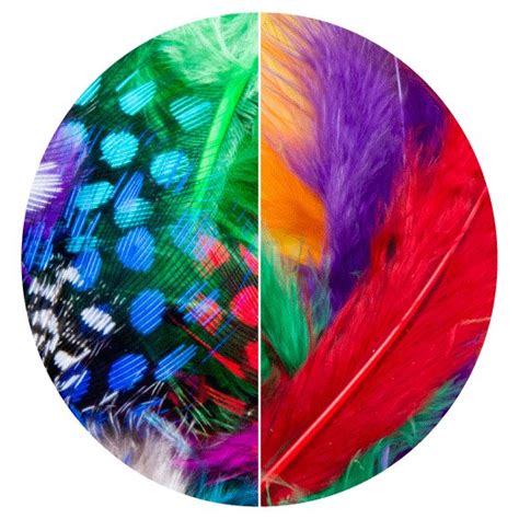 Dala Mixed Coloured Feathers 15cm