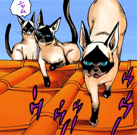 Wild Cat Size - JoJo's Bizarre Encyclopedia | JoJo Wiki