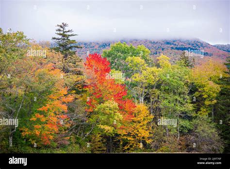 USA, Vermont, Fall foliage in Green Mountains at Bread Loaf, owned by Middlebury College Stock ...