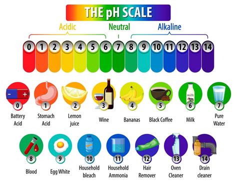 The pH Scale diagram on white background 1845030 Vector Art at Vecteezy