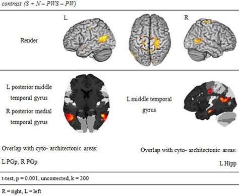 Semantic processing. | Download Scientific Diagram