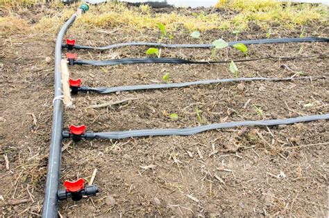 Irrigation System in Greenhouse Stock Photo - Image of spring, yard: 64351342