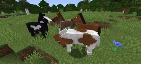 1150+ Best Minecraft Horse Name Ideas - Good Name