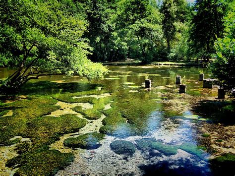 Vrelo Bosne Nature Park Tour | Visit Green Oasis Near Sarajevo