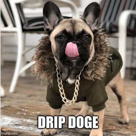 drippy doge - Imgflip