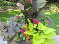 85 idées de Arrangement floral | jardins, pot jardin, déco jardin