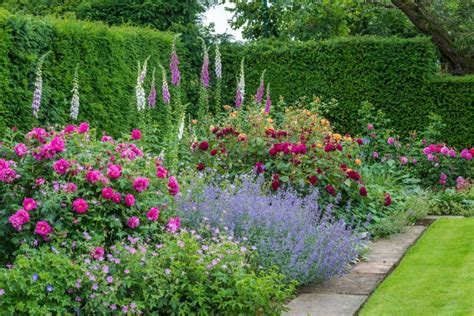 English Garden Border Ideas