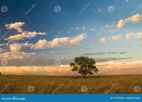 Pampas Landscape, La Pampa, Stock Photo - Image of sunset, sunrise ...