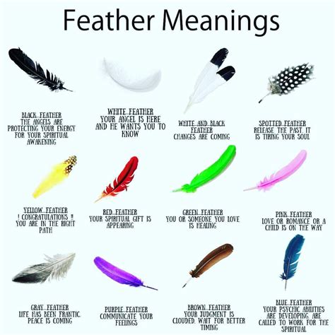 Feather meanings ⛤🕉💖👁🌙☄🕊 #Feathers #Angels #Signs #meanings #mystic #Blessings #ChulaChakras ...