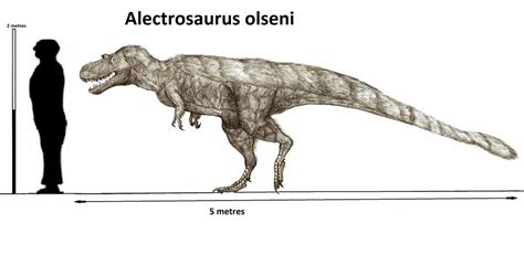 Alectrosaurus Olseni by Teratophoneus on DeviantArt Jurassic Park ...