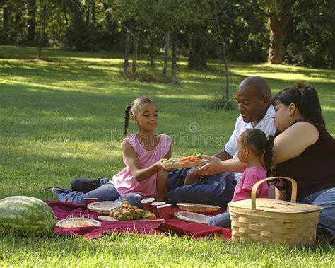 Bi-racial Family Picnic. African American dad, Hispanic mom and ...